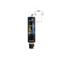LP Divertissements Lot de 6 - Canon Lanceur pour t-Shirt à remplir (Vide) 30cm