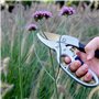 FISHTEC Sécateur de Jardin Titane à Crémaillère - Poignée Ergonomique Antidérapant, Coupe Nette et Franche Sur Enclume, Branches
