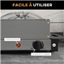 HOMCOM Chauffe-plats électrique en acier inoxydable 300 W capacité 2 x 2,4 L et 2 x 1 L avec plaque chauffante et couvercle, poi