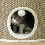 PawHut Tour griffer Chat, tonneau griffoir Chat, Hauteur de 30 cm, avec sisal pour gratter, Dessus en Peluche, Coussins Amovible