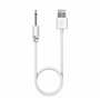 PHONILLICO Cable de recharge compatible Lovense Lush Hush Edge Osci - Câble 80 cm Embout tige 18mm diamètre 2,5mm