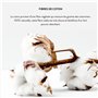 OMNIA BOTANICA - Gant de bain bi-matière - Lin et bambou - Massage et gommage corps en douceur - Gant de massage - Convient à to
