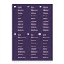Janod - Carte Magnétique du Système Solaire - Jeu Educatif en Bois - Dès 7 ans, J05462