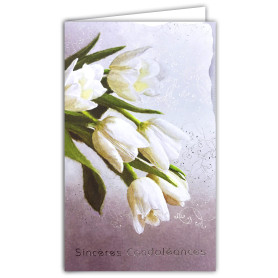 14-625 Carte illustrée avec enveloppe blanche 12x19