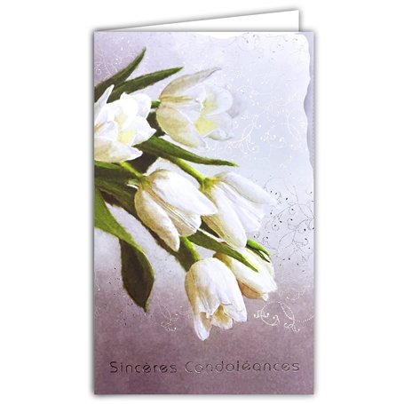 14-625 Carte illustrée avec enveloppe blanche 12x19