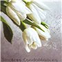 14-625 Carte illustrée avec enveloppe blanche 12x19,5cm Sincères CONDOLÉANCES Argenté Gaufrage Papier en Relief Découpé Bouquet 