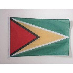 AZ FLAG - Drapeau Guyana - 45x30 cm - Pavillon Nautique Guyanien Spécial Bateau Et Extérieur en Maille Bloquée avec Anneaux Plas