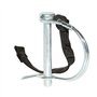 cyclingcolors GOUPILLE DE SECURITE Ø6MM 50MM pour REMORQUE Velo Cyclo Blocage Fixation AXE DE Roue Arriere