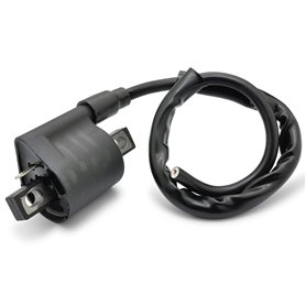 Easyboost Bobine allumage haute tension pour Scooter 50cc 2 Temps et Moto 50cc AM6 MBK Booster Nitro Aerox Stunt Rieju MRT RS2 R