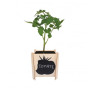 LOOLIPO - CACHE-POTS À CONSTRUIRE EN BOIS - 1 cache-pot - 10 x 10 x 12 cm - Supports à personnaliser - Supports en bois - Loisir