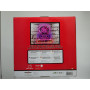 TEKNOFUN - Licence Hello Kitty - Neon Mural LED Hello Kitty 27 CM - Décoration Lumineuse - Adaptateur Secteur - Rose, Violet, Bl