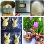 brioches