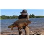 Carp Mono 0.35 500m