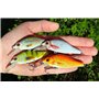 Leurre Jerkbait 7cm 11g – Pêche Carnassier Eau Douce – Flottant & Réaliste – Idéal Brochet, Perche, Sandre – Longue Portée & Nag