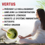 ORIGEENS MATCHA KIT avec Fouet matcha, Bol Matcha, Thé Matcha BIO Japonais | Bol Artisanal du Portugal | Coffret cadeau