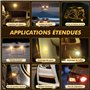 Magnet Pack 10 Ampoules W5W Halogène Wedge 12V 5W Culot T10 W2.1X9.5D Intérieur et Extérieur - Auto et Moto