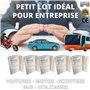 Permis - Pack de Pochettes