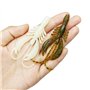 5 cm pour Truite