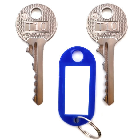 T10-PASS Pass PTT | Lot de 2 Clés Universelles T10 | Clé Boîtes aux Lettres Individuelles | Compatible avec 20% des Portes de Ba
