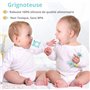 Jenna® | Kit Tetine D'alimentation | Grignoteuse Bebe Fruits Légumes Purées 3 têtes tailles S/M/L | anneau dentition bebe à mâch