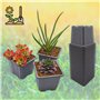 Verdonia 200 Godets Plastique 8cm pour Semis, Repiquage, Bouturage Réutilisables et Résistants - Pots Pratiques avec Trous de Dr
