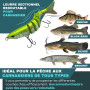 pour la Peche du Brochet