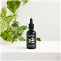 Pepin | Engrais Liquide Naturel pour Plantes Vertes d'Intérieurs | Sérum Nourrit et Stimule la Croissance des Plantes | Formule