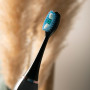 Y-Brush CleanMate - Brosse à Dents Électrique Sonique - Rechargeable USB-C - 2 Mois d'Autonomie - 5 modes de brossage - 4 têtes 