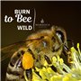 Allume-feu Naturel NOMADICA - 80 pièces - Laine de Bois, Cire d'abeille | Parfait pour Cheminée, Barbecue, Fumoir, Poêle à Bois 