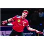 Butterfly Timo Boll SG77 Raquette de Tennis de Table – Approuvé par l'ITTF 1,8 mm Pan Asie Caoutchouc Taille Unique Noir/Rouge