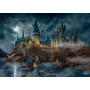 Wizarding World
