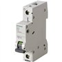 Siemens 5SL6106-6 Disjoncteur 1 pôle 6 A 230 V