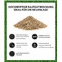 Dehner 5802467 Semences de gazon naturelles