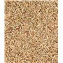 Dehner 5802467 Semences de gazon naturelles