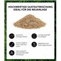 Dehner 5802491 Semences de Gazon Naturelles