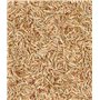 Dehner 5802491 Semences de Gazon Naturelles