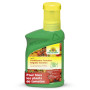 Neudorff Azet Engrais tomates – Engrais 100% naturel pour tomates aromatiques et légumes en jardinière