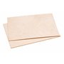 Pebaro 0269 Set de pyrogravure (Import Allemagne) 14 ans to 18 ans