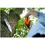 Simba - Be Active - Panier de Basket - A Fixer - Ballon de Basketball Inclus - 107406024
