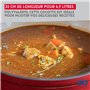 ELO 3073326 cocotte en fonte émaillée antiadhésive avec couvercle, rouge cerise, passe au four, marmite tous feux, faitout induc