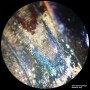 Bresser Microscope d'analyse STR 10x - 40x stéréo, lumière et lumière transmise, Noir