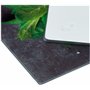 WENKO Allstar Plaque de Protection en Verre Basilic Set de 2 - Set de 2, Couvre-Plaque de Cuisson pour plaques de Cuisson vitroc