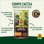 Sol pour CACTACE et succulentes DANS UN PACK DE 5 LITRES