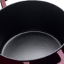 Fissler Collection Moments Cocotte En Fonte Émaillée, Ronde (20 cm), Fonction AromaStar, Compatible Induction, Rouge Bordeaux