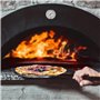 pour four à pizza