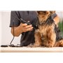 toilettage des animaux à domicile