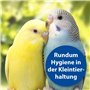 Bactazol Nettoyant Universel 500 ML avec Parfum d'agrumes Frais pour Chiens, Chats, Petits Animaux et Oiseaux