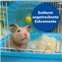 Bactazol Nettoyant Universel 500 ML avec Parfum d'agrumes Frais pour Chiens, Chats, Petits Animaux et Oiseaux