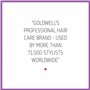 Goldwell Dualsenses Blonds masque 60sec 200 ml