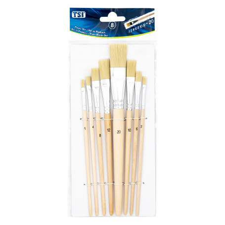 TSI Set de pinceaux de Peinture